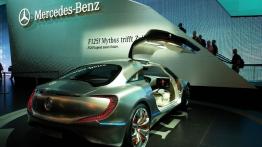 Frankfurt Motor Show 2011 na żywo - prototypy cz. 2 - inne zdjęcie