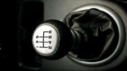 Dzielny osiołek - Fiat Sedici