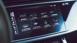Audi Q8 50 TDI 286 KM - galeria redakcyjna (2) - inny element panelu przedniego