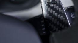 Aston Martin Vantage GT3 Special Edition (2015) - manetka zmiany biegów pod kierownicą