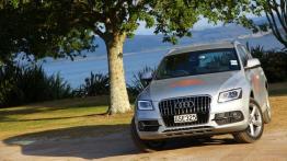 Audi Q5 w Nowej Zelandii - część 1 - galeria redakcyjna - inne zdjęcie