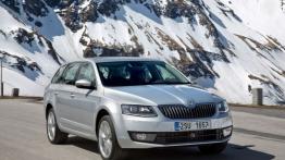 Skoda Octavia III Kombi 4x4 TSI (2013) - widok z przodu