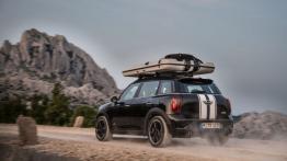 Mini Countryman ALL4 Camp (2013) - widok z tyłu
