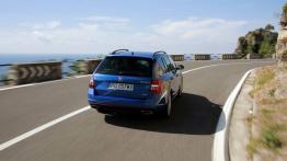 Skoda Octavia III RS Kombi 2.0 TSI (2013) - widok z tyłu