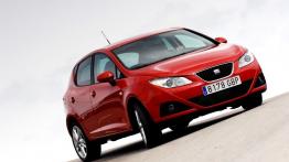 Seat Ibiza 2008 - widok z przodu