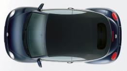 Volkswagen New Beetle - widok z góry