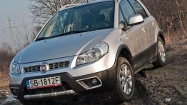 Dzielny osiołek - Fiat Sedici