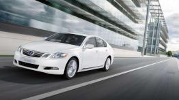 Przegląd rynku hybryd i samochodów elektrycznych