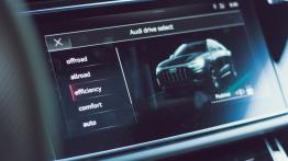 Audi Q8 50 TDI 286 KM - galeria redakcyjna (2) - inny element panelu przedniego