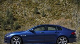 Jaguar XE 2.5t R-Sport Bluefire (2015) - lewy bok