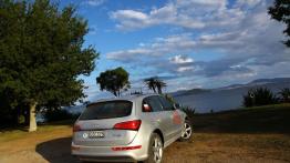 Audi Q5 w Nowej Zelandii - część 1 - galeria redakcyjna - inne zdjęcie