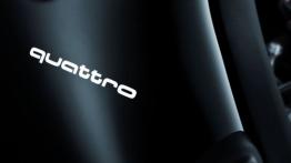 Audi A1 Quattro - inny element panelu przedniego