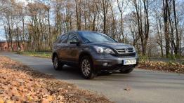 Honda CR-V - pozycja ugruntowana
