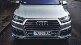 Audi Q7 e-tron - galeria redakcyjna