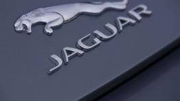 Jaguar F-Type V6 Satellite Grey - emblemat
