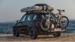Mini Countryman ALL4 Camp (2013) - widok z tyłu