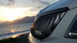 Skoda Octavia III RS Kombi 2.0 TDI (2013) - grill