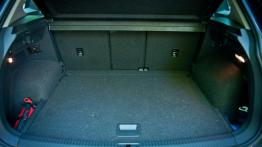 Volkswagen Tiguan 2.0 TDI 150 KM - galeria redakcyjna