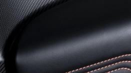 Aston Martin Vantage GT3 Special Edition (2015) - drzwi kierowcy od wewnątrz