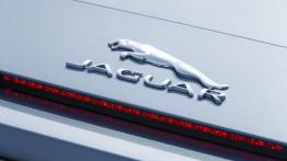 Jaguar F-Type V6 Satellite Grey - emblemat