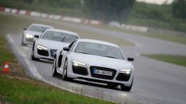 Audi Sportscar Experience w Poznaniu