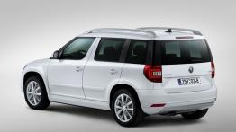 Skoda Yeti Facelifting (2014) - tył - reflektory włączone