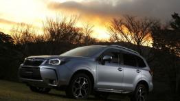Subaru Forester IV - wersja europejska - lewy bok