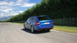 Skoda Octavia III RS Kombi 2.0 TSI (2013) - widok z tyłu