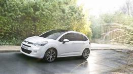 Citroen C3 II Facelifting (2013) - lewy bok
