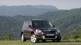 Skoda Yeti w Odessie - galeria redakcyjna - widok z przodu
