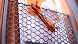 Citroen C3 Pluriel - inny element wnętrza z przodu