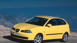 Seat Ibiza V - lewy bok