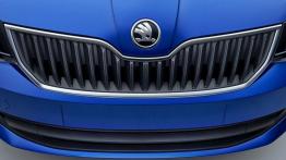 Skoda Fabia III (2015) - grill