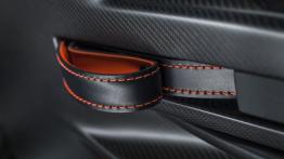 Aston Martin Vantage GT3 Special Edition (2015) - uchwyt w drzwiach pasażera