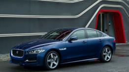 Jaguar XE 2.5t R-Sport Bluefire (2015) - lewy bok