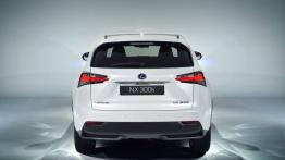 Lexus NX 300h (2014) - tył - reflektory włączone
