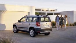Skoda Yeti 2011 - widok z tyłu