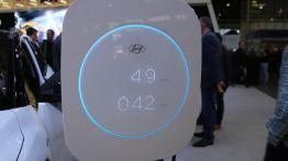 Ból głowy Elona, obawy marek premium – Hyundai na Poznań Motor Show 2018