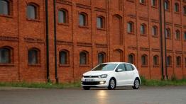 Widmo oszczędzania - Volkswagen Polo Bluemotion