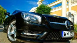 Roadstery w dwóch smakach - BMW Z4 35isDrive vs Mercedes SL350 BlueEFFICIENCY