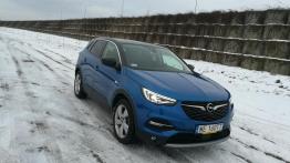 Opel Grandland X - galeria redakcyjna - widok z przodu