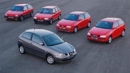 Seat Ibiza V - widok z góry