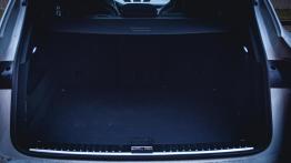 Porsche Cayenne S - galeria redakcyjna