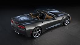 Chevrolet Corvette C7 Stingray Cabrio (2014) - widok z góry