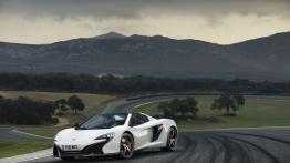 McLaren 650S Spider (2014) - widok z przodu