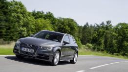 Audi A3 III Sportback e-tron (2013) - widok z przodu