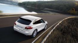 Przegląd rynku hybryd i samochodów elektrycznych