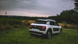 Citroen C4 Cactus Rip Curl - galeria redakcyjna