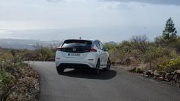 Nissan Leaf - galeria redakcyjna - widok z ty?u