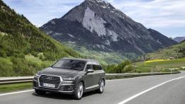 Audi Q7 II (2015) - widok z przodu